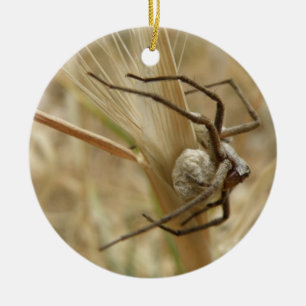 Ornamento De Cerâmica Aniversário Personalizado do Sac Aranha e Ovo