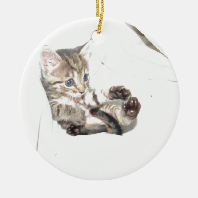 Ornamento De Cerâmica Annie órfão pequena (Frente)