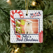 Ano fotográfico do nome personalizado do Primeiro 