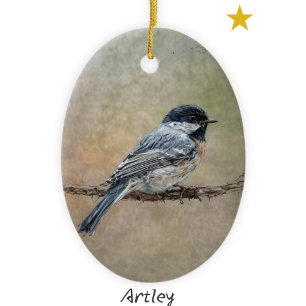 Ornamento De Cerâmica Ano Personalizado de Pintura de Pássaro Chickadead