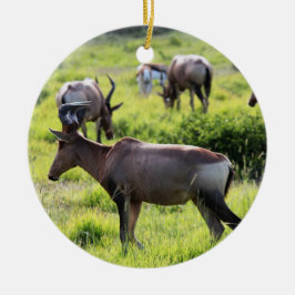Ornamento De Cerâmica Antílope africano no safari em África do Sul