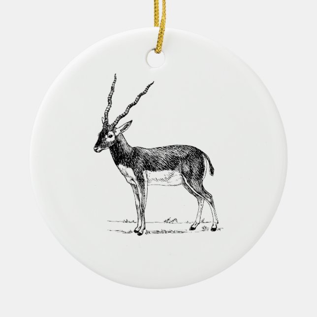 Ornamento De Cerâmica Antílope de Blackbuck (Frente)