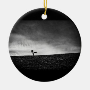 Ornamento De Cerâmica apêndices nas colinas