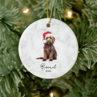 Aquarela Chocolate Marrom Goldendoodle