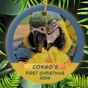 Ornamento De Cerâmica Ara Parrot Pet 1rua Fita de Natal