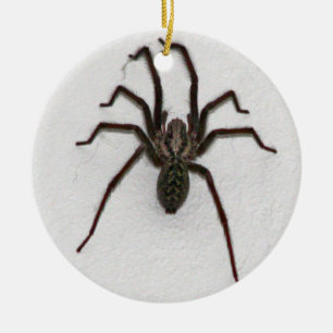 Ornamento De Cerâmica Aranha assustador