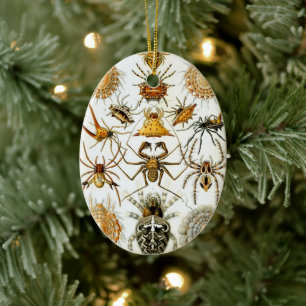 Ornamento De Cerâmica Aranhas ou Aracnídeos Vintage por Ernst Haeckel