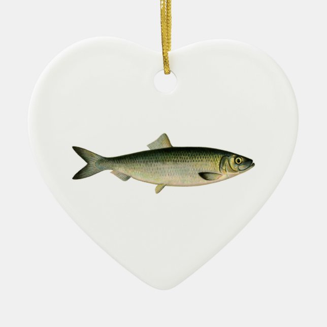 Ornamento De Cerâmica Arenques atlânticos do mar (Frente)