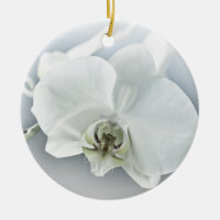 Arte Botânica de Orquídea Branca Elegante