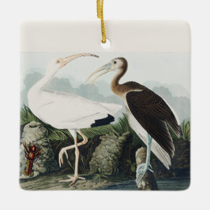 Ornamento De Cerâmica Arte da Natureza da Ave Íbis-Branca Vintage Audubo