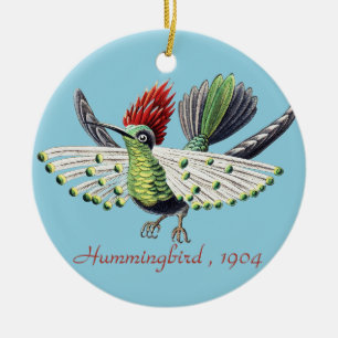 Ornamento De Cerâmica Arte da Natureza de Beija-flor Colorido de Ernst H