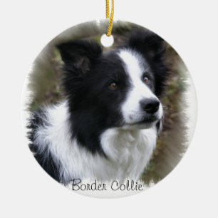 Ornamento De Cerâmica Arte de Collie de Borda