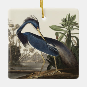 Ornamento De Cerâmica Arte de Pássaro da Garça da Louisiana de Audubon V
