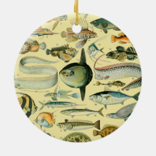 Ornamento De Cerâmica Arte De Pesca Científica Para Peixes Vintage