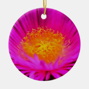 Ornamento De Cerâmica Arte Floral Magenta Rosa-Aster-Flor-Rosa