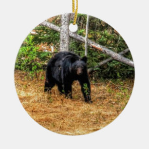 Ornamento De Cerâmica Arte Fotográfica do Urso Negro Selvagem e Floresta