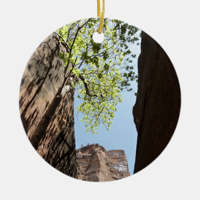 Ornamento De Cerâmica Árvore crescendo entre Rochas no Parque Nacional d (Frente)