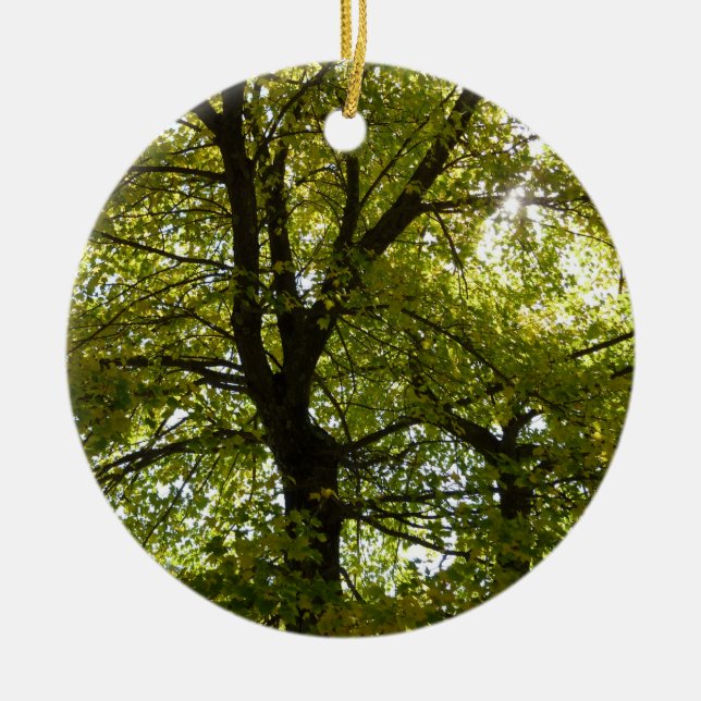 Ornamento De Cerâmica Árvore de Mapeamento Amarelo de dentro (Frente)