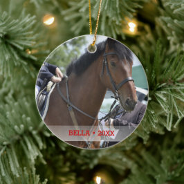 Ornamento De Cerâmica Árvore de Natal de Foto e Nome de Cavalo de Pet Pe