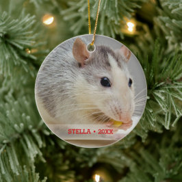 Ornamento De Cerâmica Árvore de Natal de Foto e Nome de Rato de Pet Pers