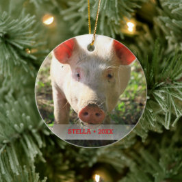 Ornamento De Cerâmica Árvore de Natal de Foto e Nome de Suíno de Pet Per