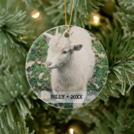 Ornamento De Cerâmica Árvore de Natal de Nome de Foto de Captura de Pet 