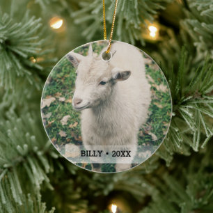 Ornamento De Cerâmica Árvore de Natal de Nome de Foto de Captura de Pet