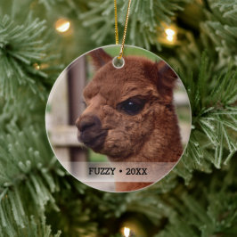 Ornamento De Cerâmica Árvore de Natal de Nome de Foto Pet Alpaca Persona