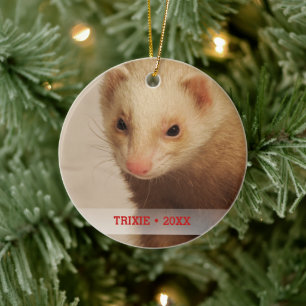 Ornamento De Cerâmica Árvore de Natal de Nome de Foto Pet Ferret Persona