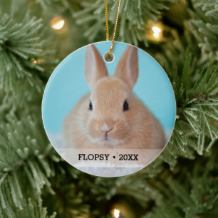 Ornamento De Cerâmica Árvore de Natal de Nome Personalizado de Foto do 