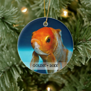 Ornamento De Cerâmica Árvore de Natal de Nome Personalizado de Peixes de