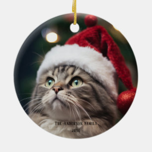 Ornamento De Cerâmica Árvore de Natal Meowy Gata Preta Divertida