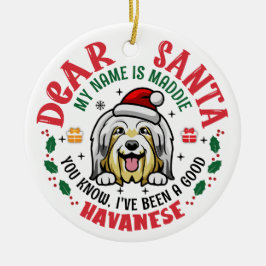 Ornamento De Cerâmica Árvore de Natal Personalizada de Cão Havanês