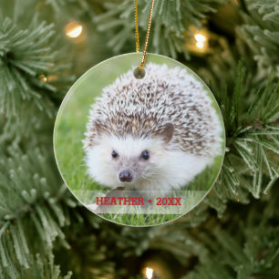 Ornamento De Cerâmica Árvore de Natal Personalizada de Foto Pet Hedgehog