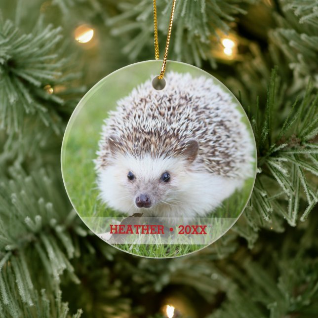 Ornamento De Cerâmica Árvore de Natal Personalizada de Foto Pet Hedgehog (Árvore)