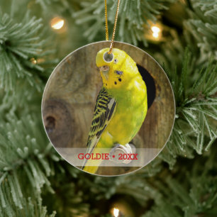 Ornamento De Cerâmica Árvore de Natal Personalizada de Pet Bird Fotograf