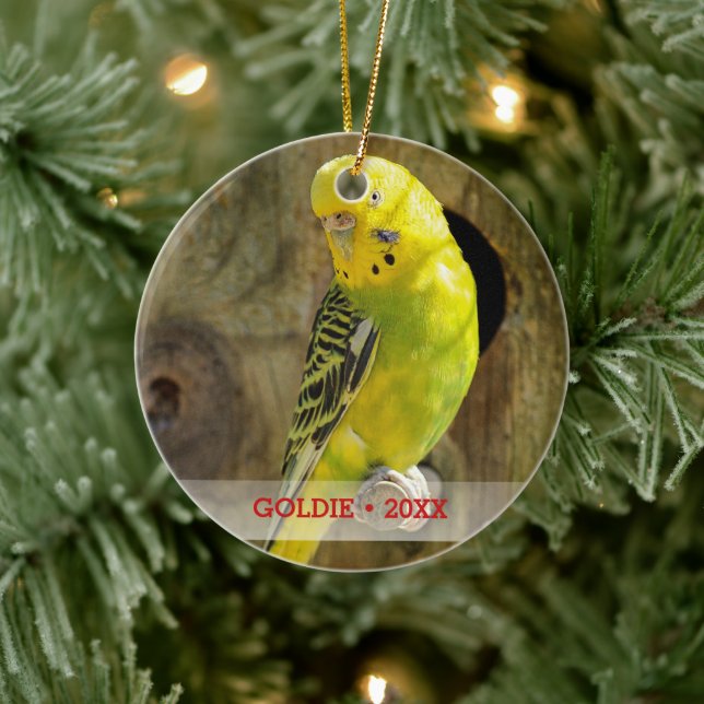 Ornamento De Cerâmica Árvore de Natal Personalizada de Pet Bird Fotograf (Árvore)
