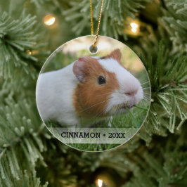 Ornamento De Cerâmica Árvore de Natal Personalizada Pet Guiné