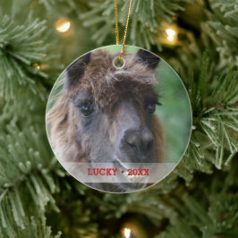 Ornamento De Cerâmica Árvore de Natal Personalizada Pet Llama