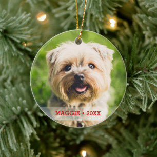 Ornamento De Cerâmica Árvore de Natal Personalizada Pet Photo de Dois L