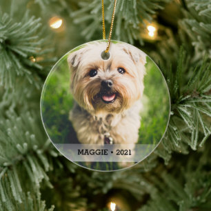 Ornamento De Cerâmica Árvore de Natal Personalizada Pet Photo de Dois L