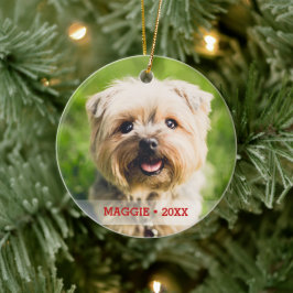 Ornamento De Cerâmica Árvore de Natal Personalizada Pet Photo de Dois La
