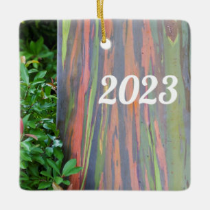 Ornamento De Cerâmica Árvore Rainbow Eucalyptus