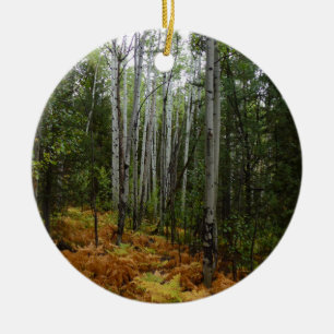 Ornamento De Cerâmica Árvores Brancas e Fall Ferns na Montanha Rochosa