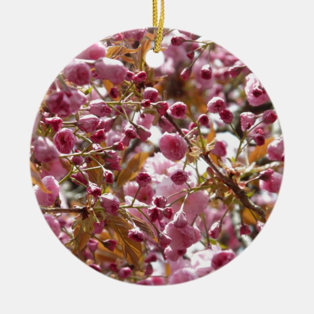 Ornamento De Cerâmica Árvores de Cereja Japonesas (Frente)