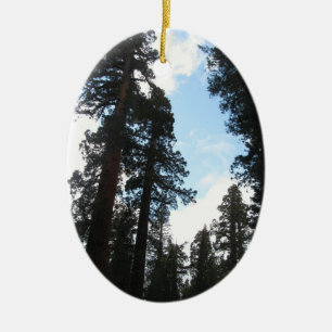 Ornamento De Cerâmica Árvores de Yosemite