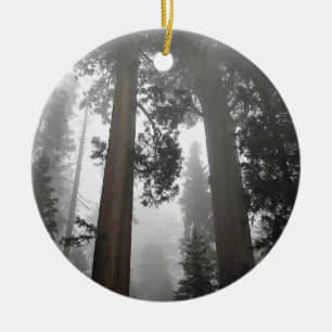 Ornamento De Cerâmica Árvores gigantes de sequoia na porca, CA