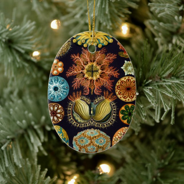 Ornamento De Cerâmica Ascidiae por Ernst Haeckel, Animais Marinhos Vinta (Árvore)