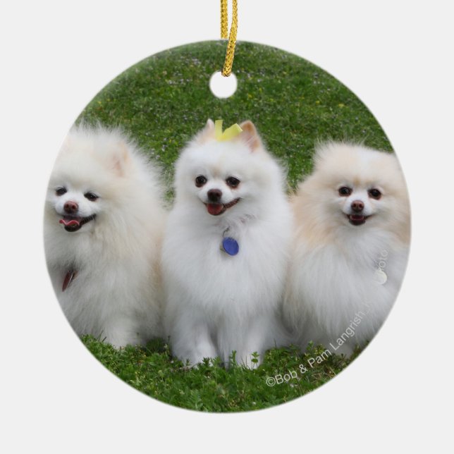 Ornamento De Cerâmica Assento de 3 Pomeranians (Frente)