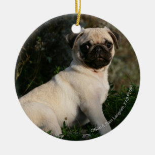 Ornamento De Cerâmica Assento do filhote de cachorro do Pug da jovem